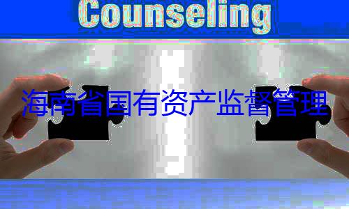 有福接受审资产监督管委副书记王理委员会党海南省国有查调查